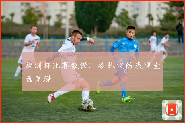 欧洲杯比赛数据：各队攻防表现全面呈现