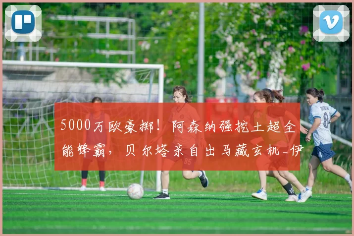 5000万欧豪掷！阿森纳强挖土超全能锋霸，贝尔塔亲自出马藏玄机_伊尔马兹_欧元_加拉塔萨雷
