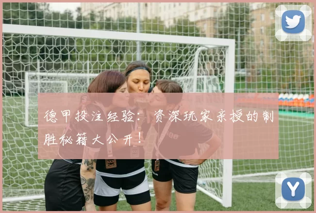德甲投注经验：资深玩家亲授的制胜秘籍大公开！