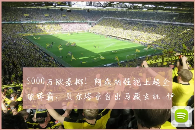 5000万欧豪掷！阿森纳强挖土超全能锋霸，贝尔塔亲自出马藏玄机_伊尔马兹_欧元_加拉塔萨雷