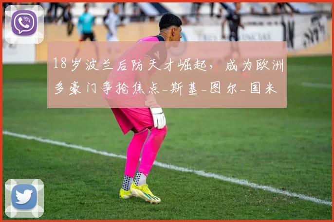 18岁波兰后防天才崛起，成为欧洲多豪门争抢焦点_斯基_图尔_国米