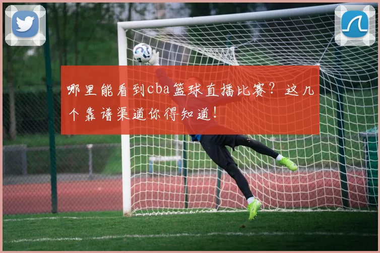 哪里能看到cba篮球直播比赛?这几个靠谱渠道你得知道!