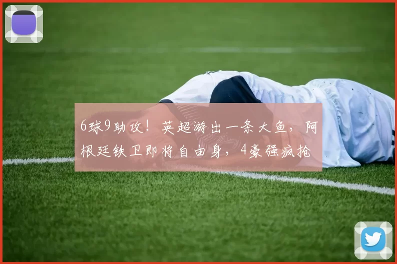 6球9助攻!英超游出一条大鱼,阿根廷铁卫即将自由身,4豪强疯抢