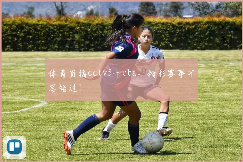 体育直播cctv5十cba，精彩赛事不容错过！