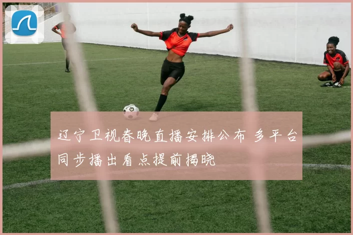 辽宁卫视春晚直播安排公布 多平台同步播出看点提前揭晓